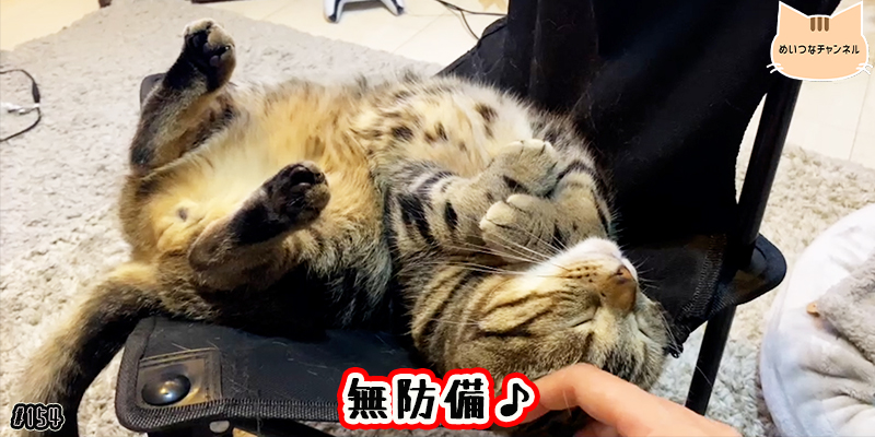 【ネコ】猫の癒しの日常 #154「無防備♪」