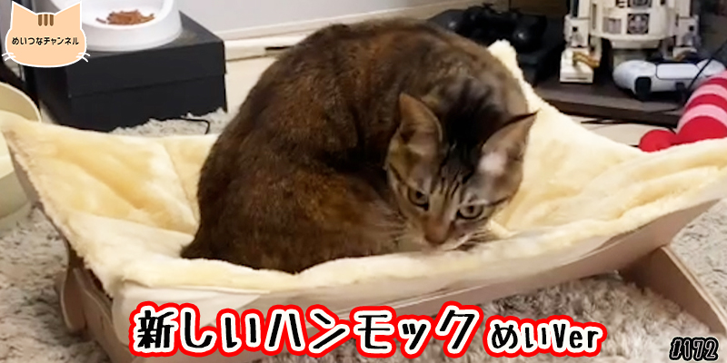 【ネコ】猫の癒しの日常 #172「新しいハンモック めいVer」