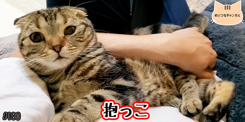 【ネコ】猫の癒しの日常 #180「抱っこ」