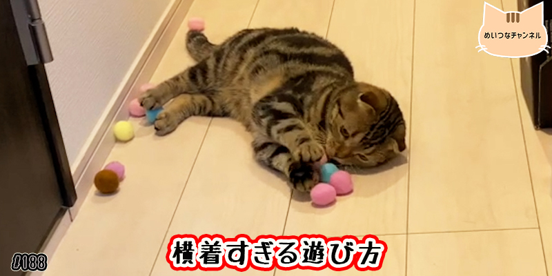 【ネコ】猫の癒しの日常 #188「横着すぎる遊び方」