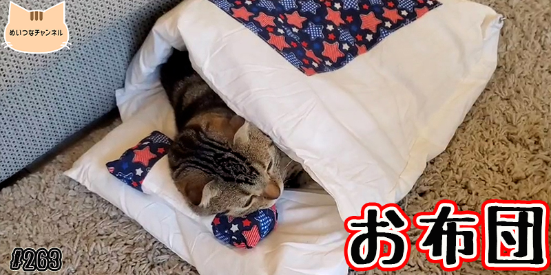 【ネコ】猫の癒しの日常 #263「お布団」