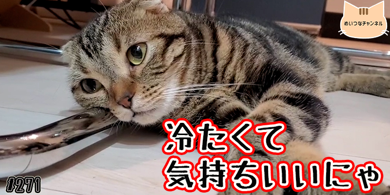 【ネコ】猫の癒しの日常 #271「冷たくて気持ちいいにゃ」