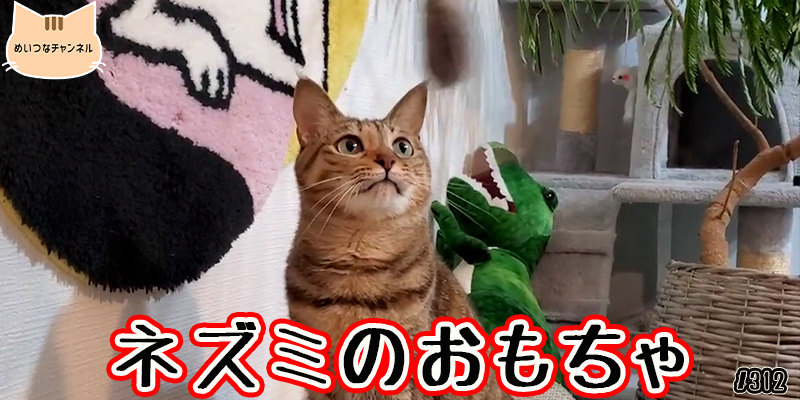 【ネコ】猫の癒しの日常 #312「ネズミのおもちゃ」