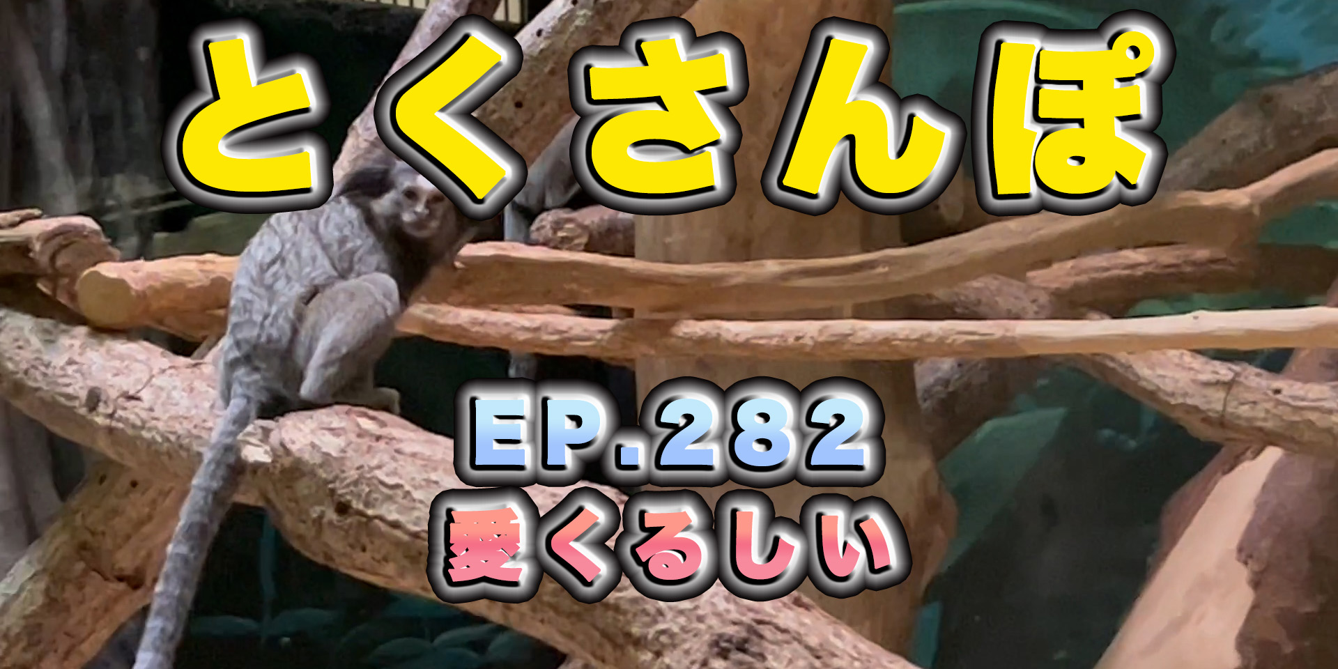 とくさんぽep.282