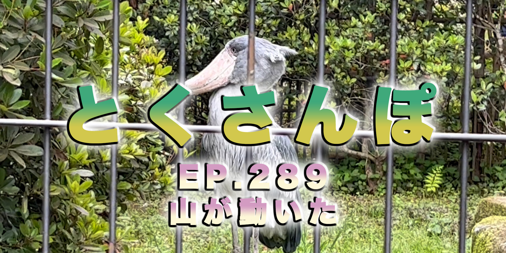 とくさんぽep.289