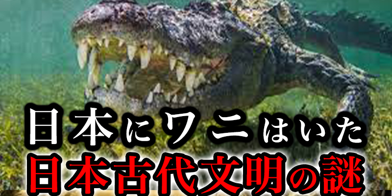 はるか昔の日本にワニもいた！そしてすごすぎる縄文時代が始まる