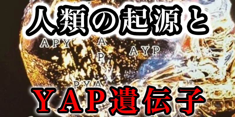 人類の起源は日本！？YAP遺伝子とは