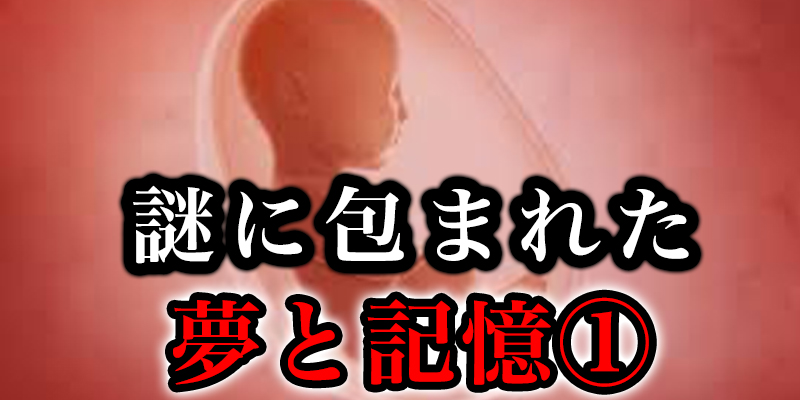 あれはなんだったんだ？謎に包まれた「夢」と「記憶」①