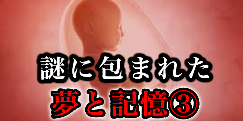 あれはなんた?ったんた?？謎に包まれた「夢」と「記憶」③