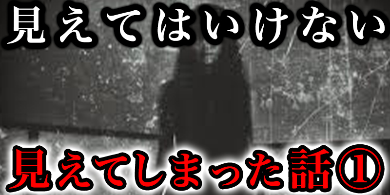見えてはいけないのものが見えてしまった…①