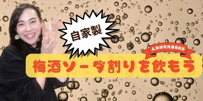 自家製梅酒をソーダ割りにして飲む／梅酒作り③【人類研究所第88話】志村りお