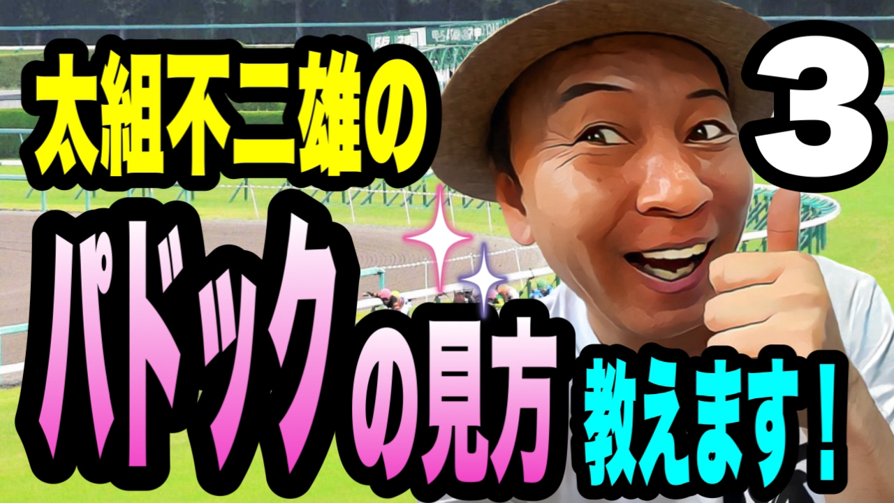太組不二雄のパドックの見方教えます3