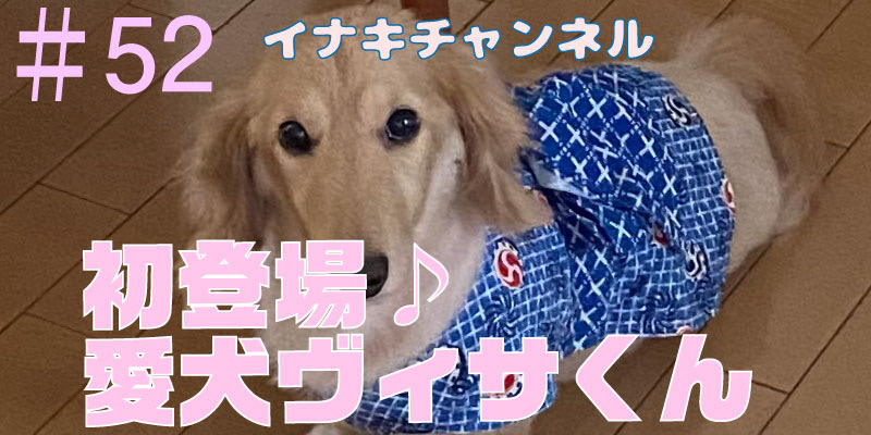 初登場！愛犬ヴィサくん！