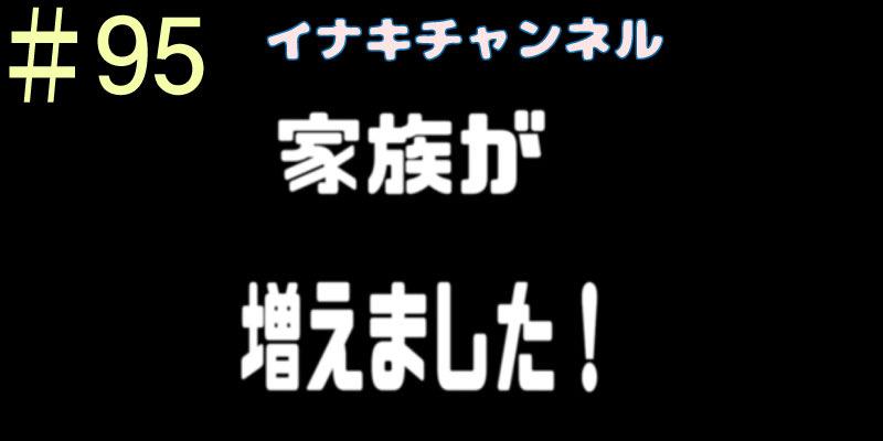 家族が増えました！