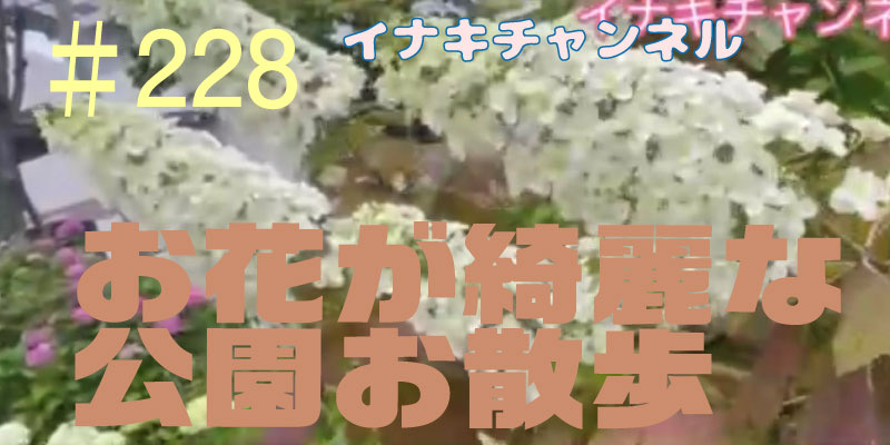 お花が綺麗な公園でお散歩！