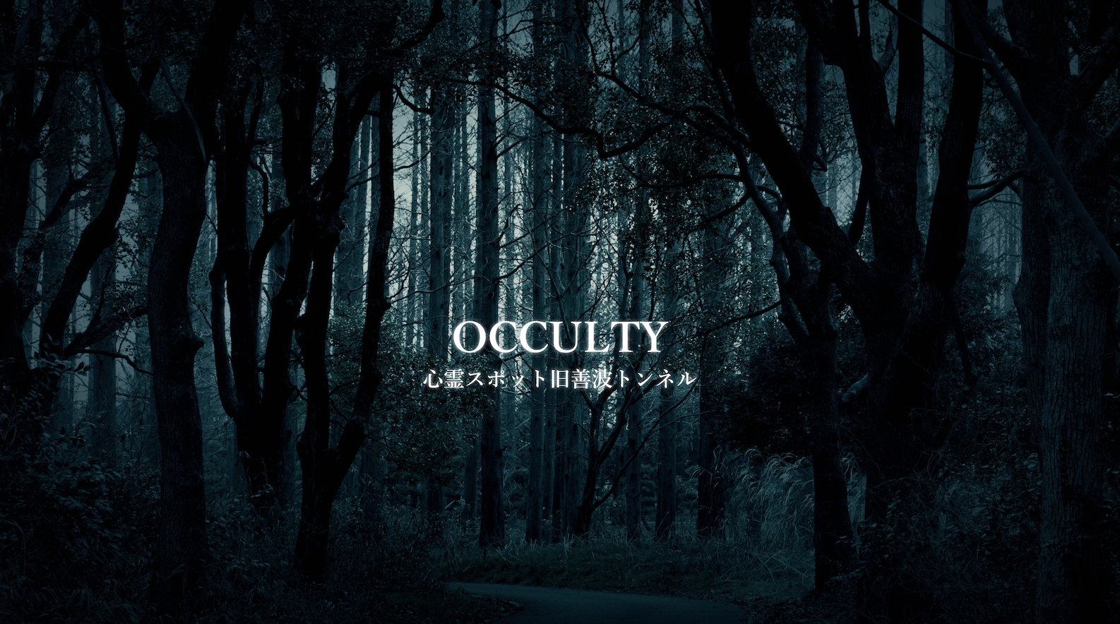 OCCULTY 心霊スポット旧善波トンネル