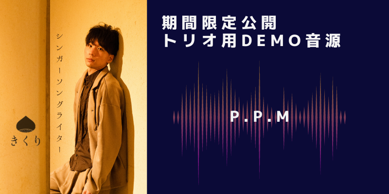 P.P.M(demo)