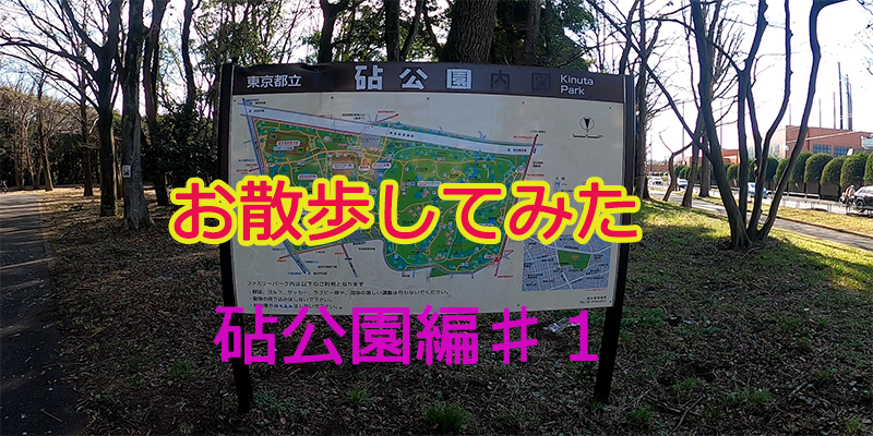 ぐるり散歩ー砧公園♯1