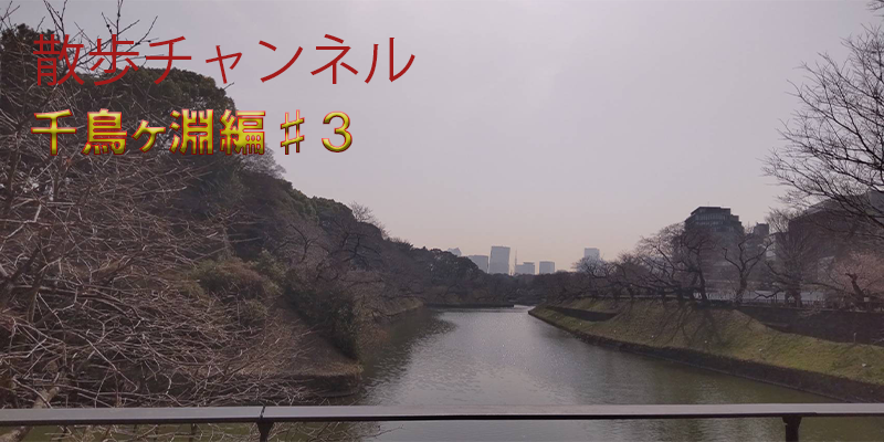 ぐるり散歩ー千鳥ヶ淵♯３