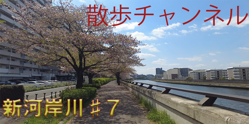 ぐるり散歩ー新河岸川♯７