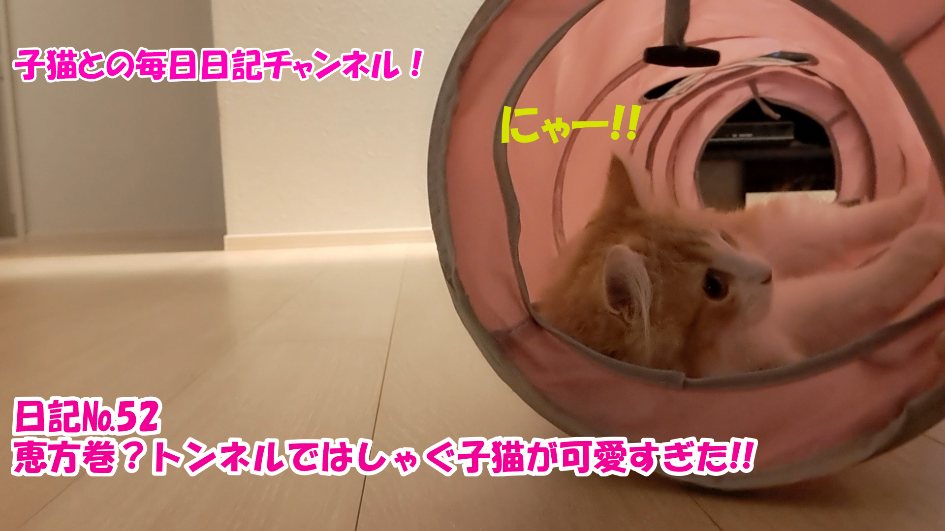 【ネコ】子猫との毎日日記チャンネル！～マロンくん～こねこ日記№52恵方巻？トンネルではしゃぐ子猫が可愛すぎた！！