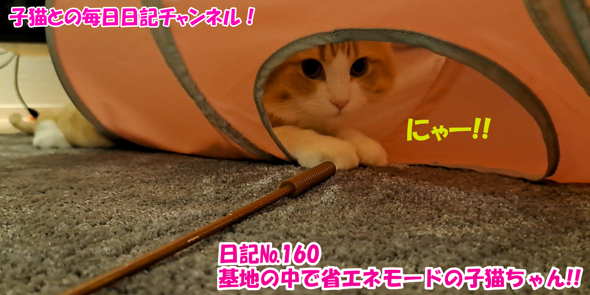 【ネコ】子猫との毎日日記チャンネル！～マロンくん～こねこ日記№160基地の中で省エネモードの子猫ちゃん！！