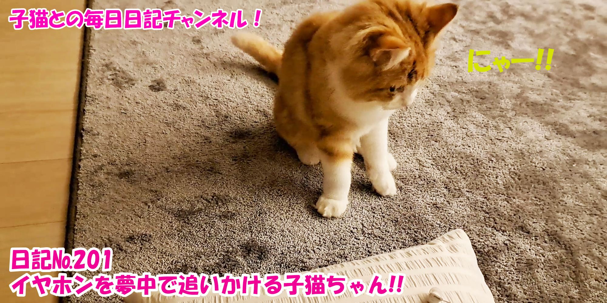 【ネコ】子猫との毎日日記チャンネル！～マロンくん～こねこ日記№201イヤホンを夢中で追いかける子猫ちゃん！！