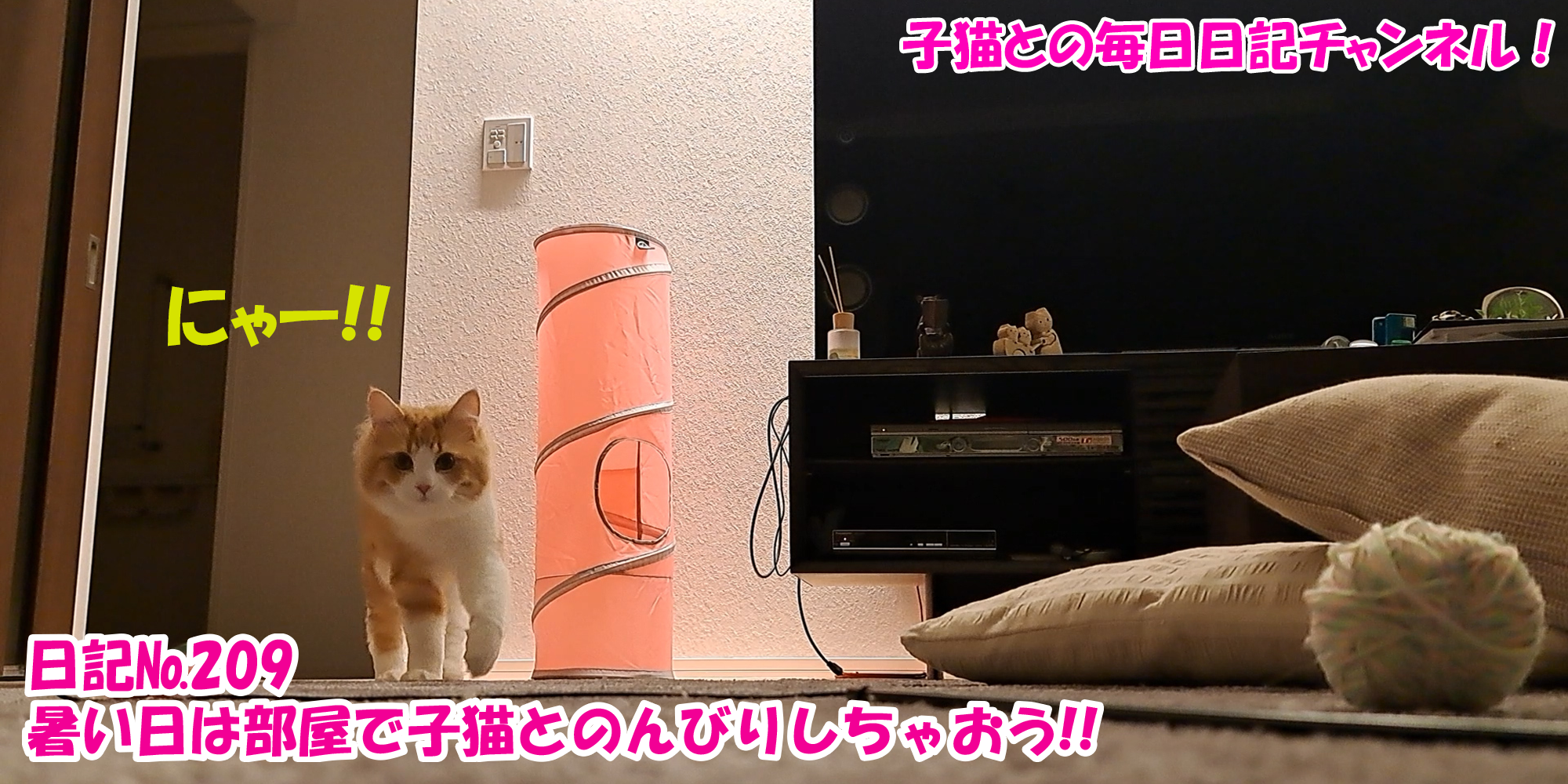 【ネコ】子猫との毎日日記チャンネル！～マロンくん～こねこ日記№209暑い日は部屋で子猫とのんびりしちゃおう！！