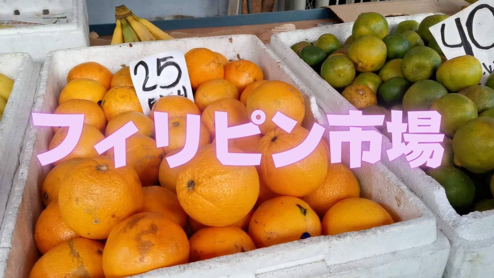 【フィリピン】フィリピン在住の日本人によるフィリピン紹介、フィリピン旅動画。今回はフィリピンの市場を旅します！Part１