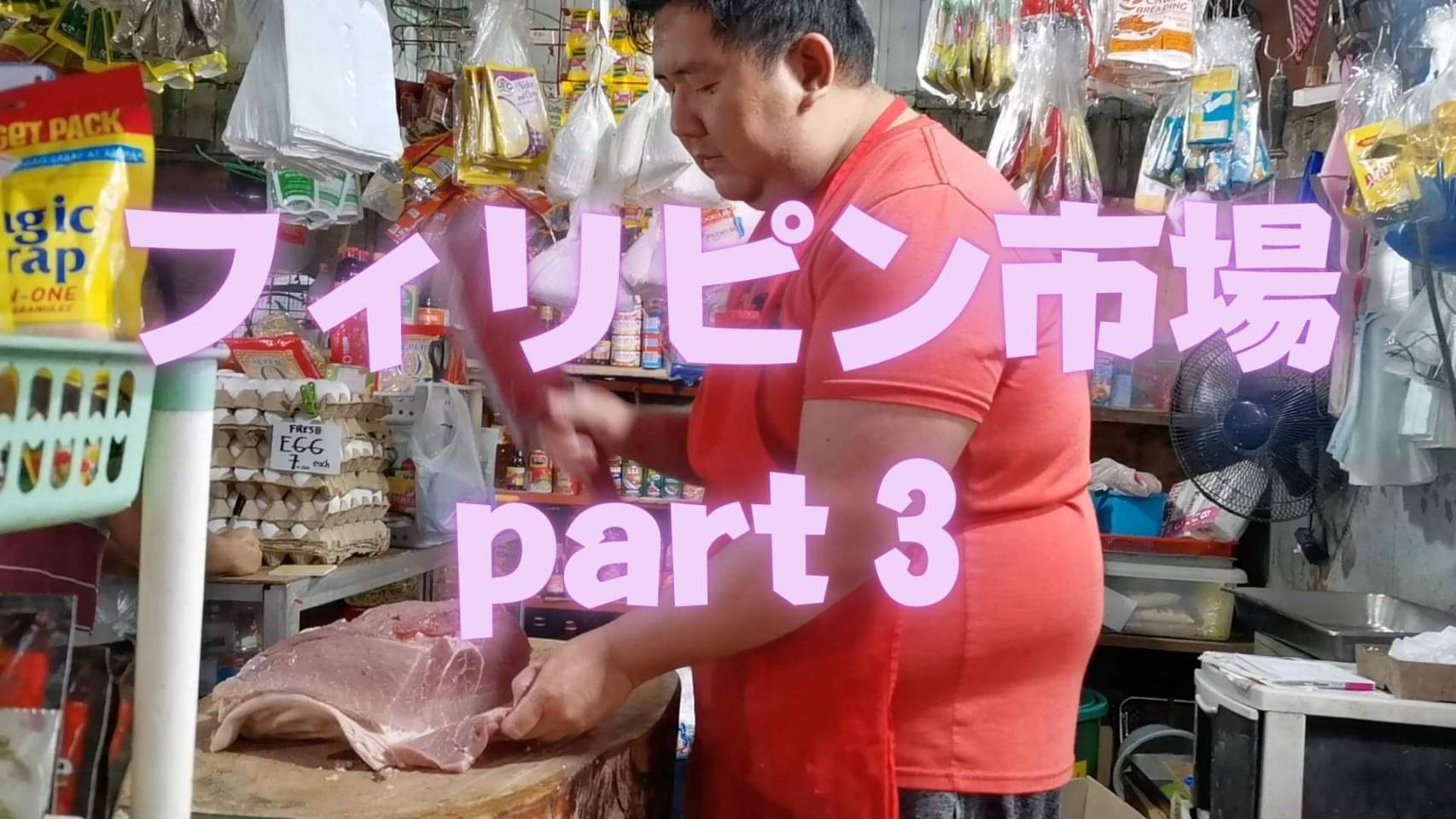 【フィリピン】フィリピン在住の日本人によるフィリピン紹介、フィリピン旅動画。今回はフィリピンの市場を旅します！Part３