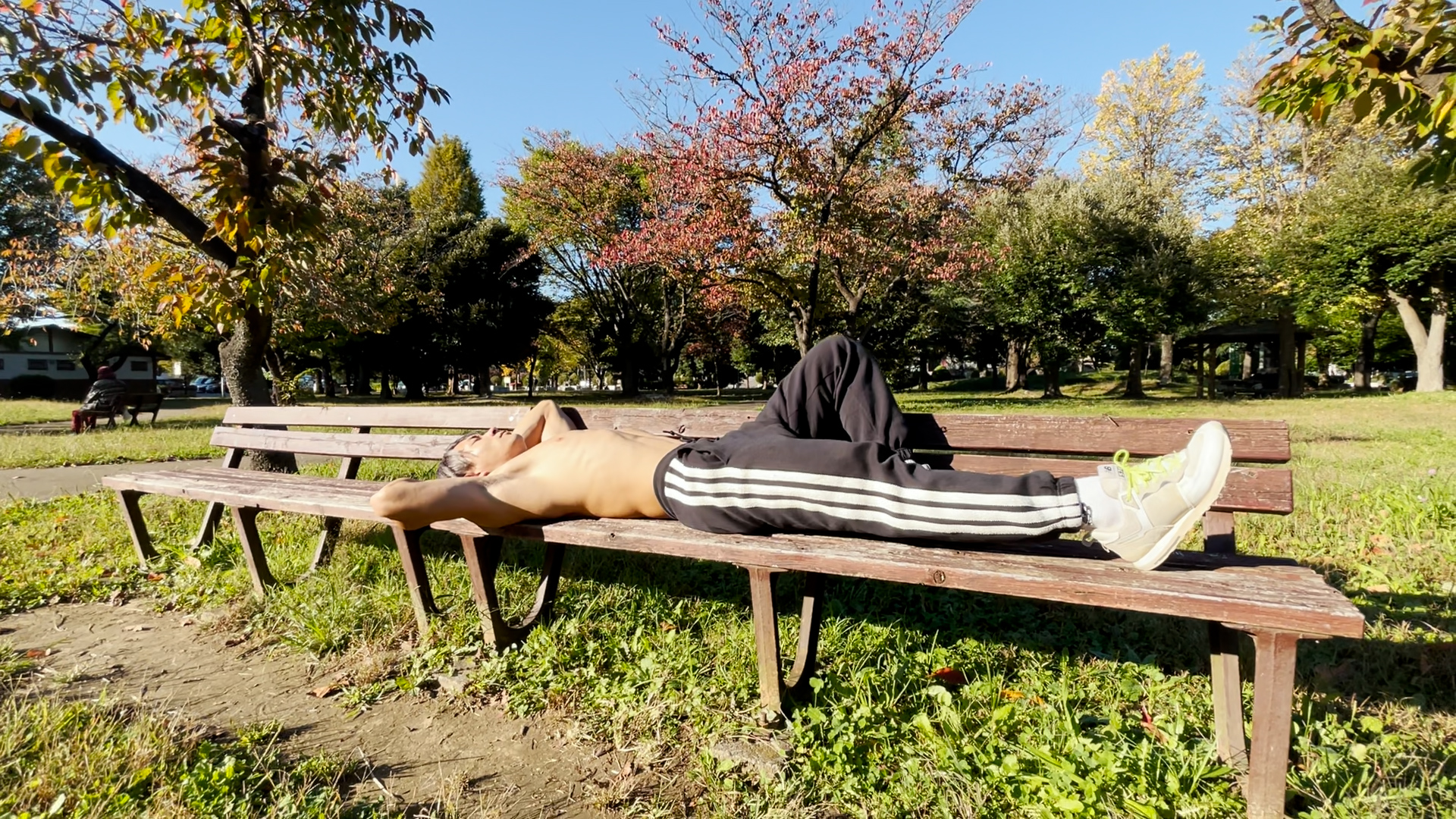 『公園のベンチで上裸で寝るだけ』