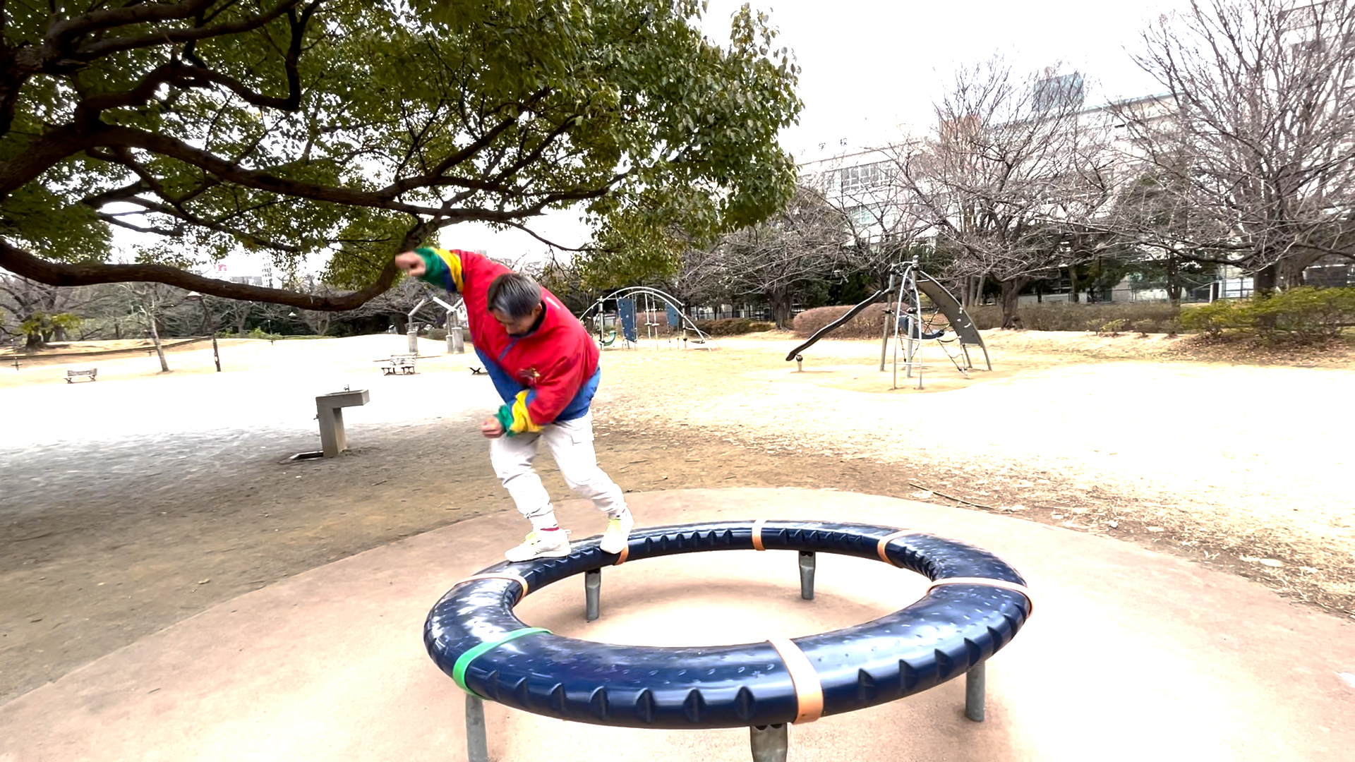 『本当にこの公園は何なんですか？』