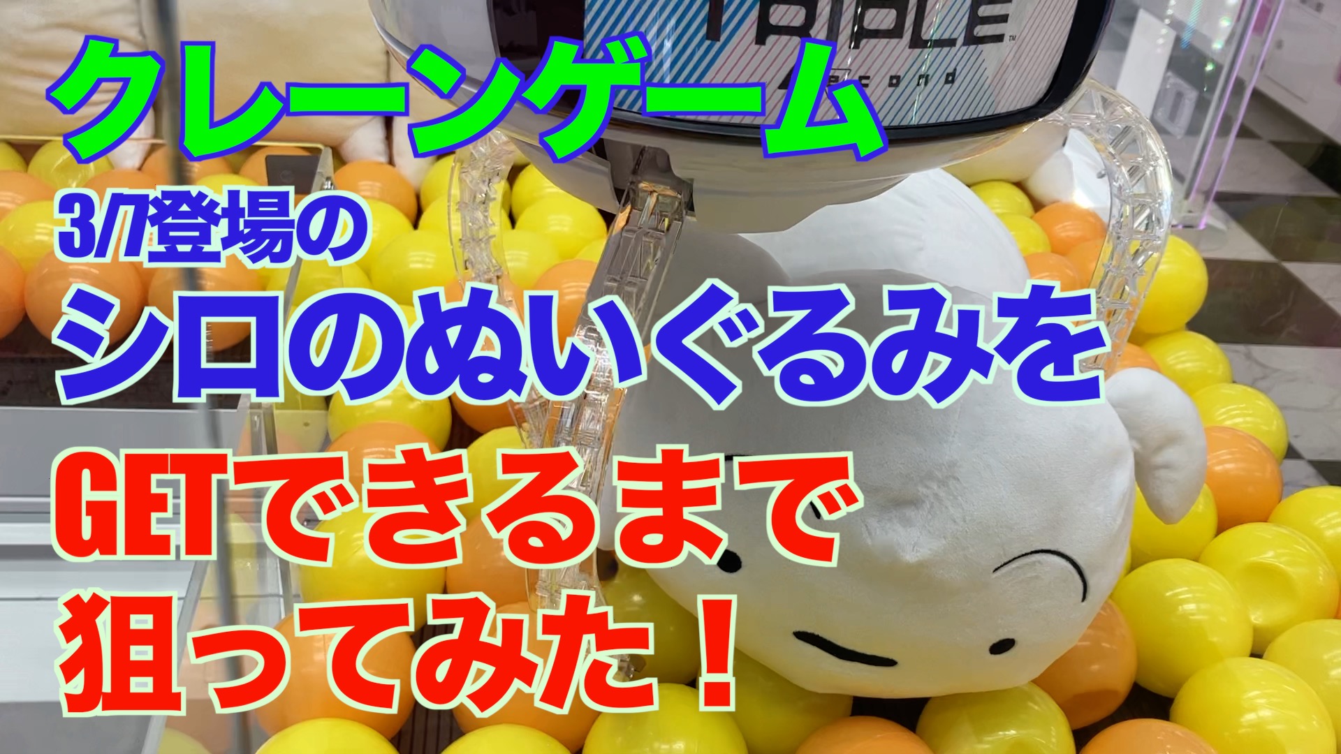 【クレーンゲーム】3/7登場のシロのぬいぐるみをGETできるまで狙ってみた！