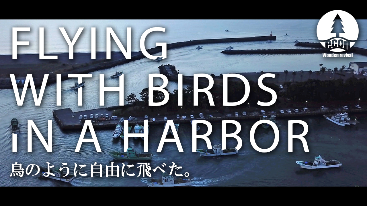 【絶景空撮】とある港町て?カモメと空を舞う。FLYING IN A HARBOR_DRONE