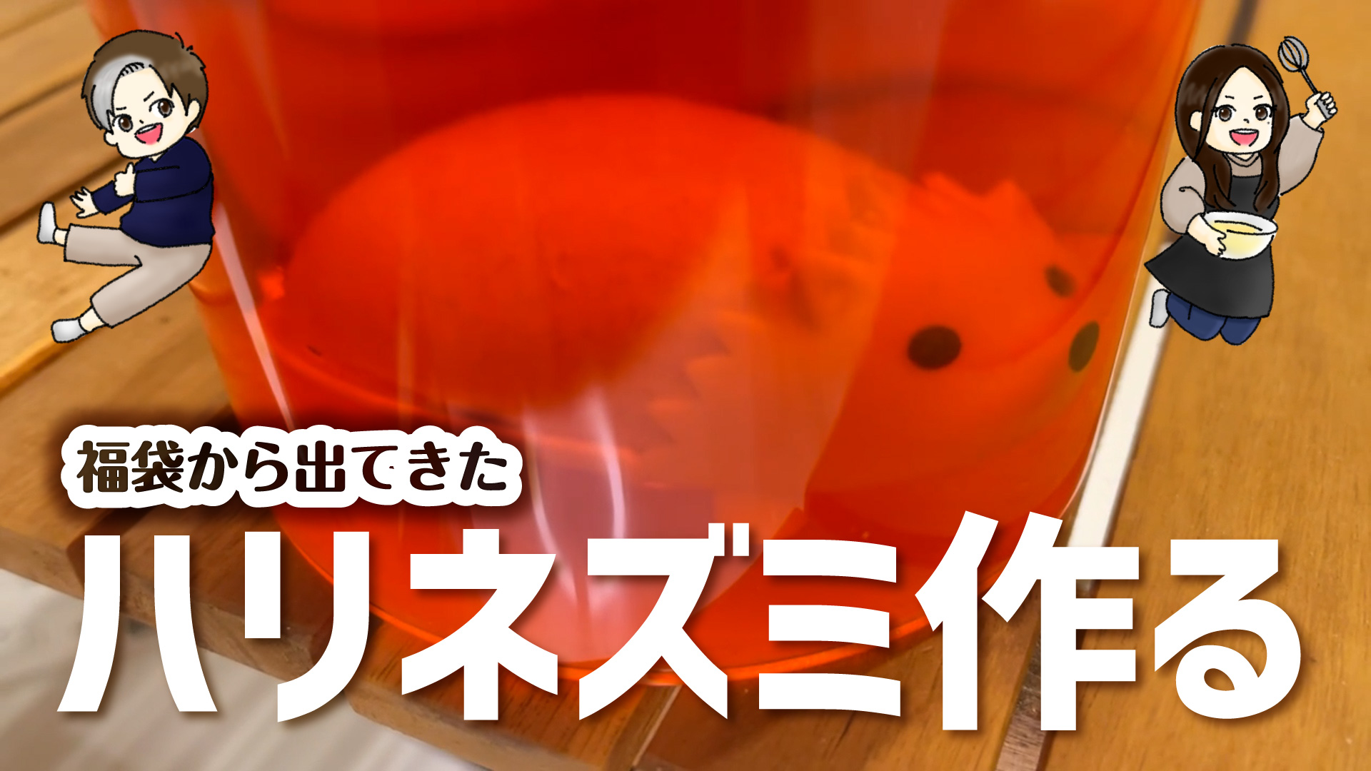 ハリネズミ・・？！