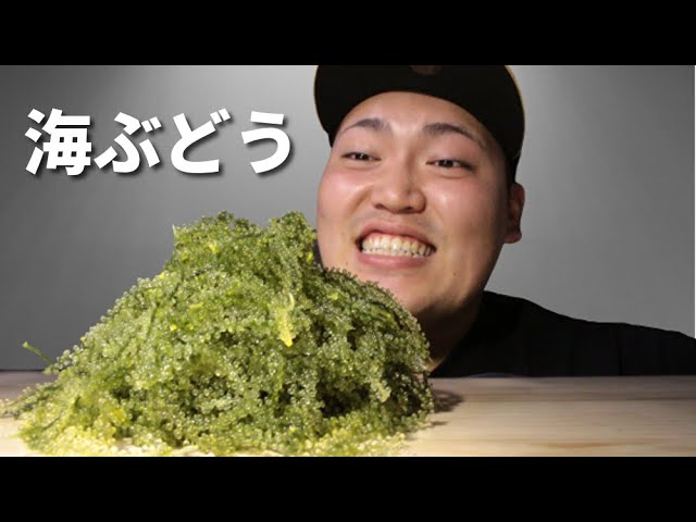 【咀嚼音】プチプチはじける海ぶどうを食べたら沖縄の海が広がりました