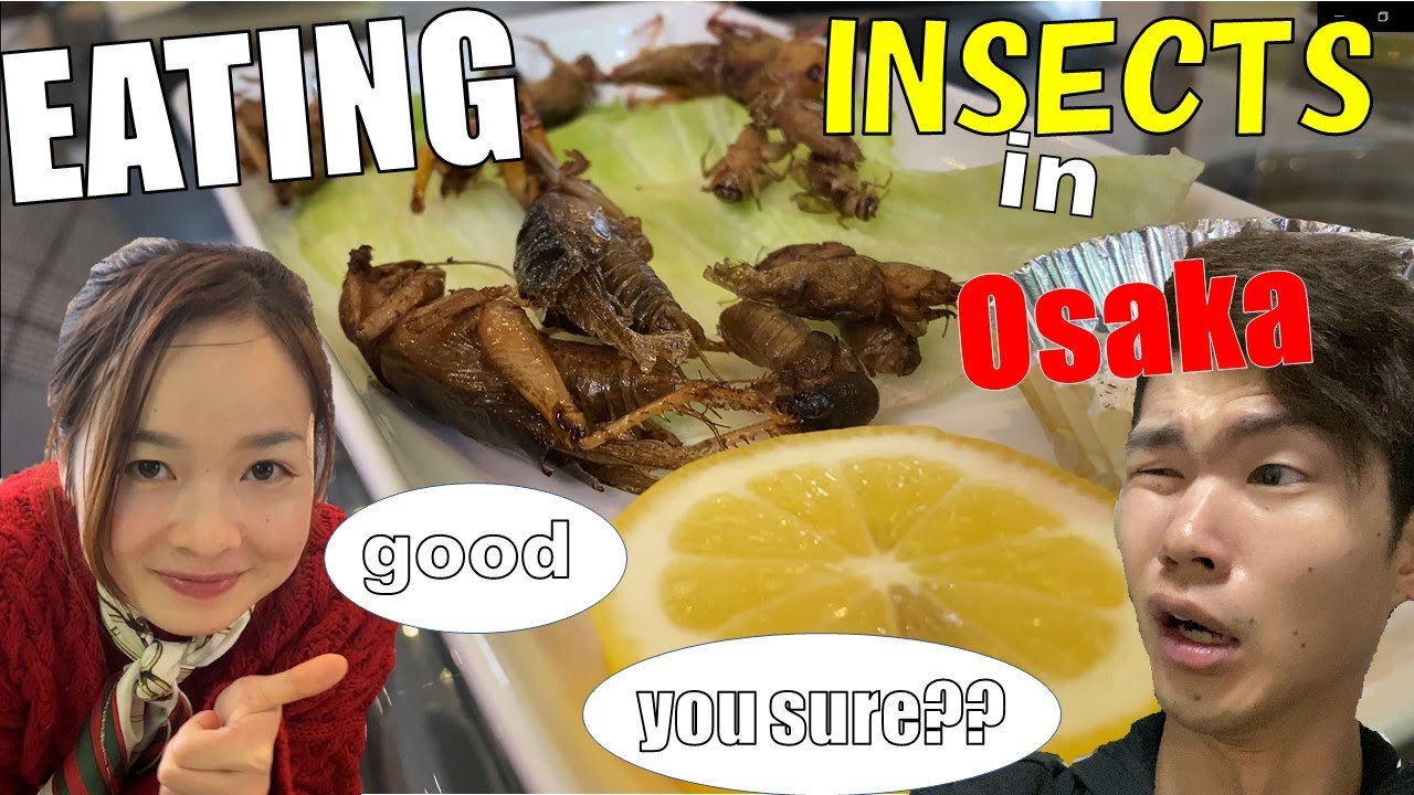 EATING INSECTS IN OSAKA with Vietnamese friend　爬虫類にテンション上がりまくるベトナム美人