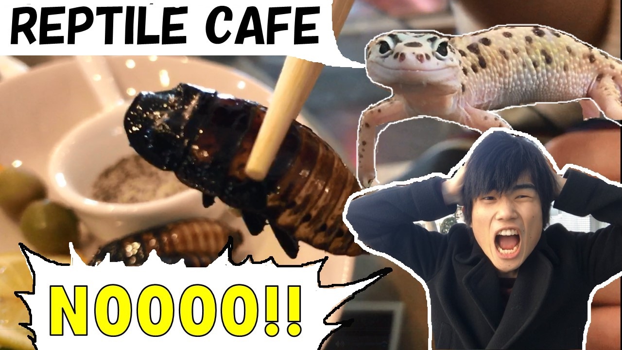 IS THIS FOR REAL TO EAT REPTILE CAFE IN JPosaka このカフェ恐ろしや