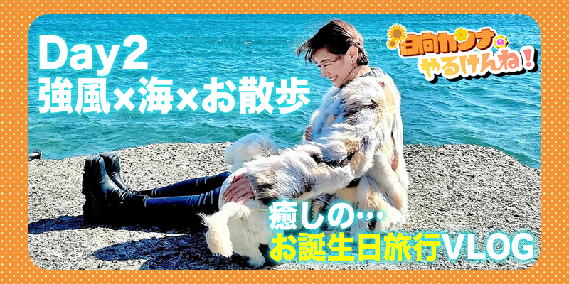 「愛犬のめぐちゃんに誕生日のお祝いをしてきました。【後編】【日向カンナのやるけんね！】