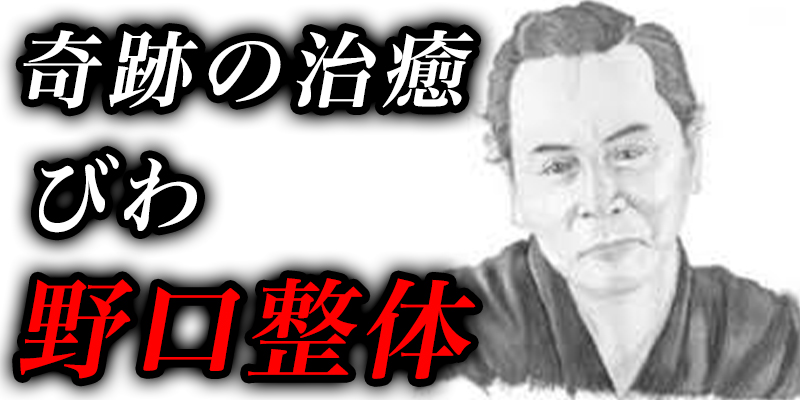 奇跡の治癒法『びわの葉っぱ』と『野口整体』